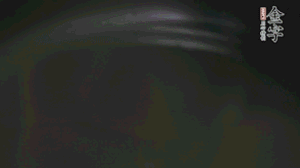 剝?nèi)ネ鈿さ墓S、切花刀的香菇、豌豆入沸水焯水。