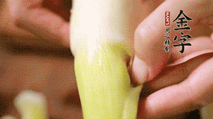 茭白剝?nèi)ネ鈿?，先切片再切絲。