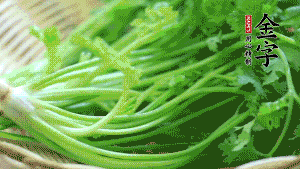 挑選鮮嫩的香菜，洗干凈后，處理成小段。