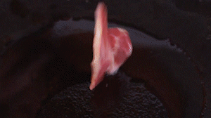 鍋中倒入橄欖油燒熱，放入淡火腿小火煸炒至打卷狀態(tài)。