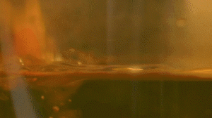 雞肉、鹽、料酒入冷水鍋水開后撇去浮沫，溫水洗凈。