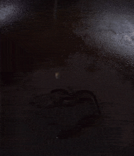 冷鍋熱油，下蒜片爆香，下香腸、玉米筍、蓮藕、西芹爆炒，期間加點水，翻炒1分鐘后加新鮮百合片，翻炒30秒。