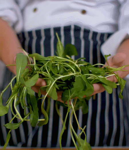 馬蘭頭焯水，切成細(xì)末。