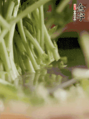 新鮮豌豆苗割下洗凈。