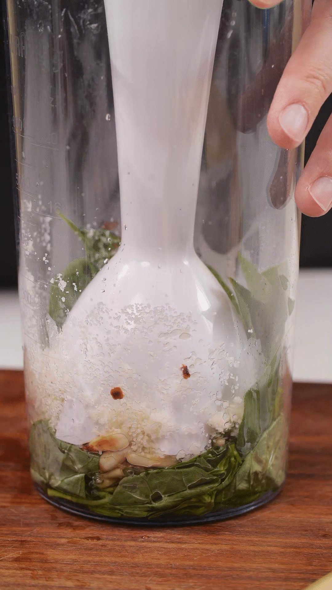 青醬制作：將羅勒去梗，只保留葉片，放入料理機
